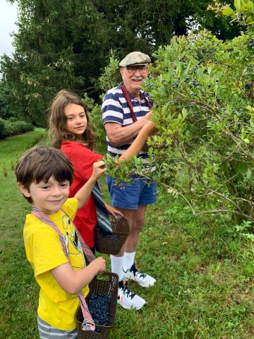 Lachlan, Vivianna & Emry, Picking Blueberries
