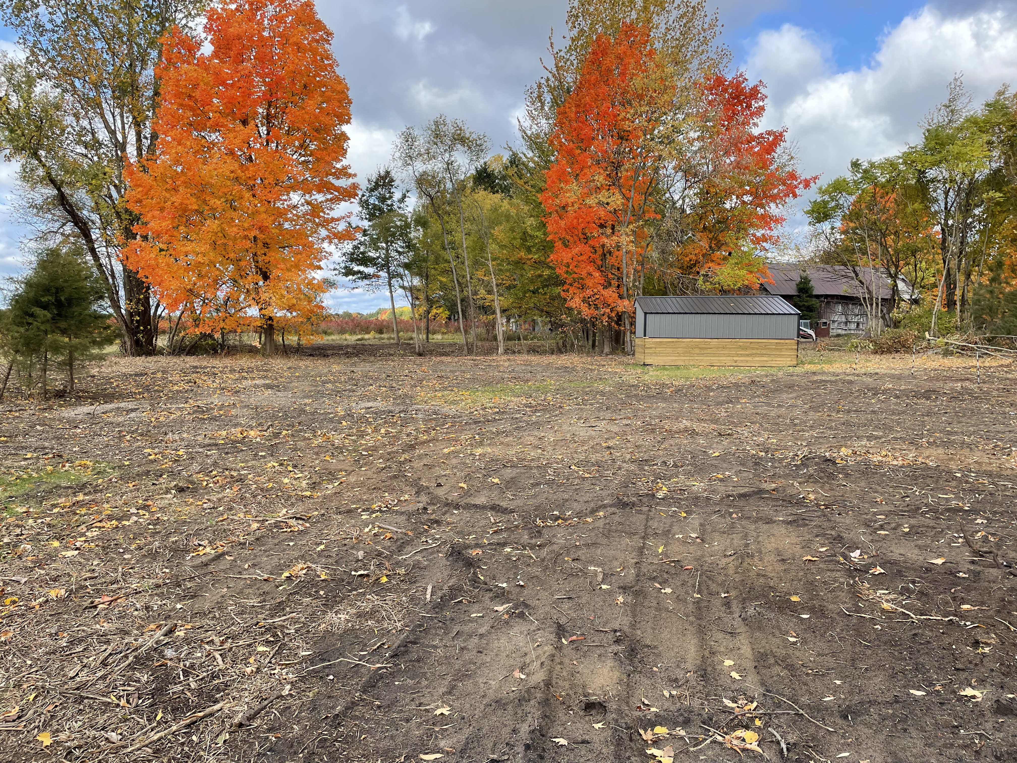 Autumn at North Sky Farm