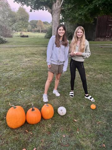 Pumpkins